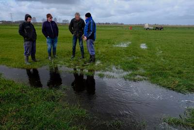 Boer zorgt voor ‘plasdras’ in Binnenveld bij Achterberg