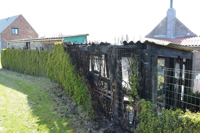 Kippenhok Vermoedelijk In Brand Gestoken Door Kinderen Oudenburg