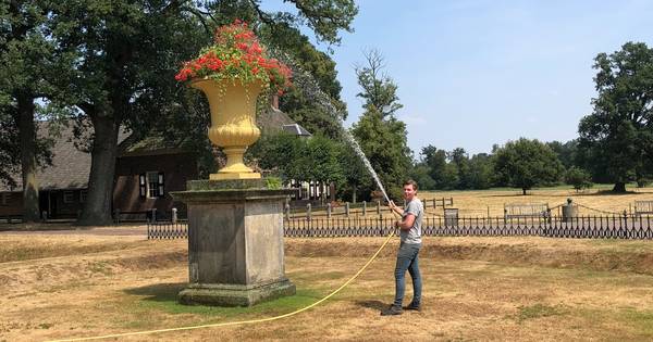 Landgoed Twickel zucht onder hitte