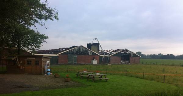 36.000 kippen dood bij brand in twee schuren Buurmalsen - De Gelderlander