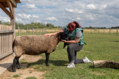 Landerij De Park heeft in coronatijd meer vrijwilligers nodig