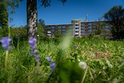 Stichting Onderdak verrast gemeente Arnhem met plan voor Paasberg