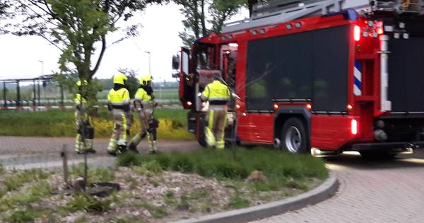 Brandweer Beek gealarmeerd door hevig gekraak van afgebroken boomtak