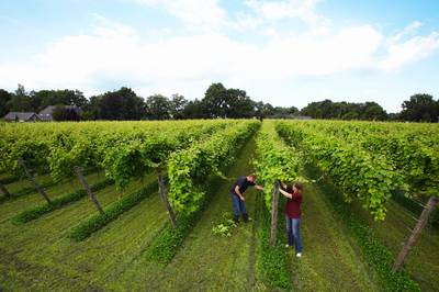 Achterhoek als internationale hotspot voor foodies: het ‘Italië van Noordwest-Europa’