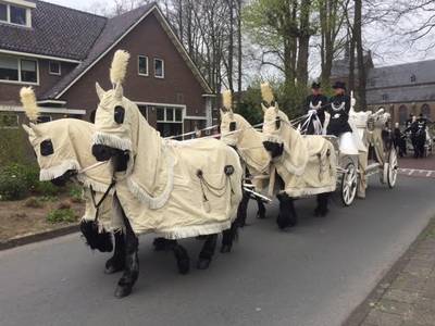 Bronzen beeld gestolen van graf doodgeschoten Deventenaar: 'Schandalig'