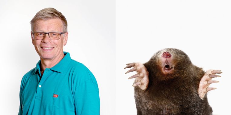 'Zet beslist geen glasscherven in de molsgangen' - Trouw