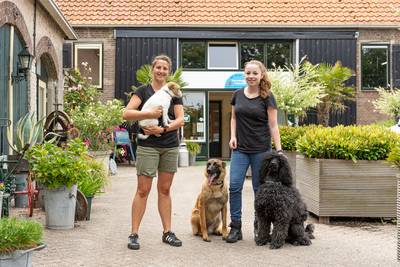 Topdrukte bij dierenpension de Hooge Meet, maar van een beestenboel is geen sprake
