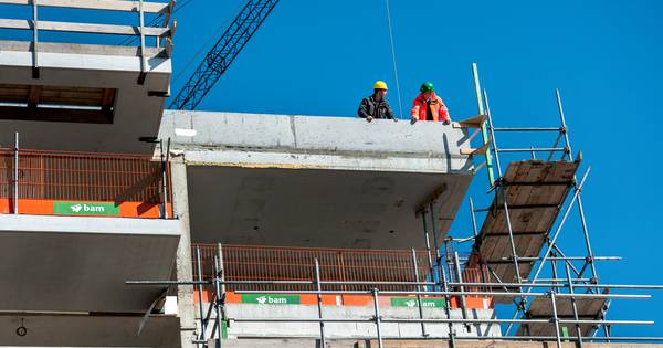 Raad van State: niet zomaar vrijstelling projecten met kleine stikstofuitstoot - BN DeStem