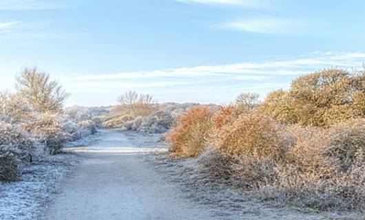 De mooiste winterwandelingen door heel Nederland