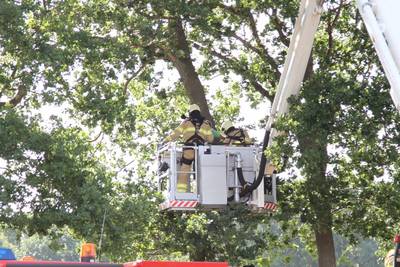 Windvlaag blaast parachutist de boom in in Lunteren