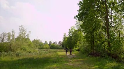 Aflevering 11