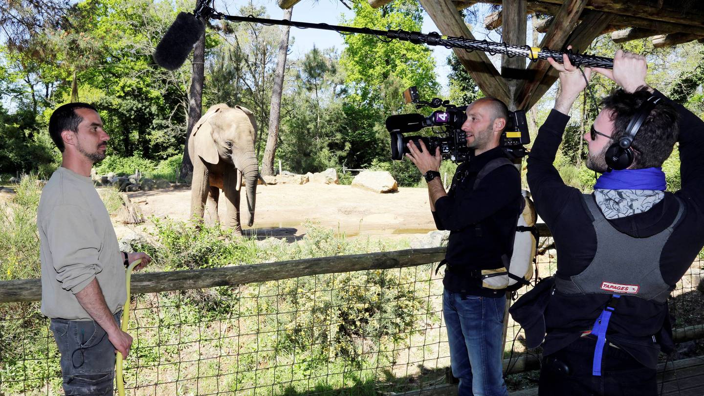 Une saison au zoo La Trois dinsdag 12 november 2024 1925 TVGids