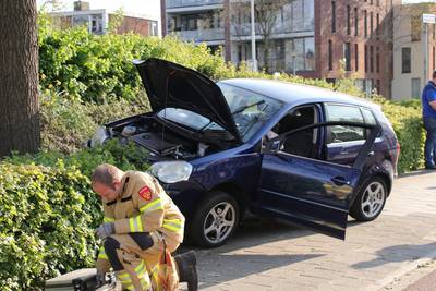 Auto rijdt de struiken in bij rotonde in Ede