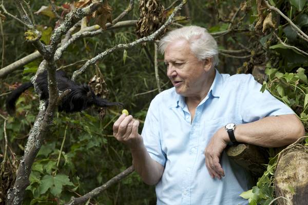 Attenborough's Ark : Natural World Special