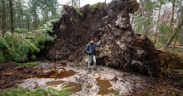Landgoederen Hof van Twente hebben weinig schade van Ciara: 'Storm was niet van: o help' - Tubantia