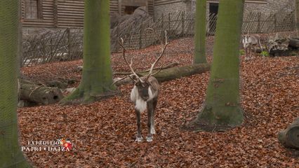13. Emission du 27/12/20