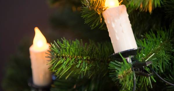Organisator wil geen donaties voor verbrande kerstboom in Aalburg: 'Daders moeten zelf betalen' - BD