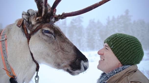 Reindeer Family & Me