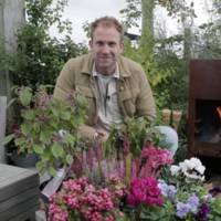 Met deze 7 kleurrijke planten is je wintertuin een plaatje