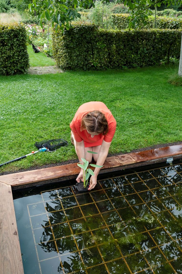 “Koppel je regenpijp tijdelijk los en laat het water deze zomer royaal