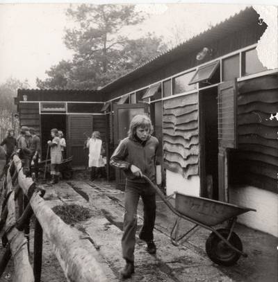 Ponyfarm Leende: goede herinneringen aan Jill, Lady en Hansje