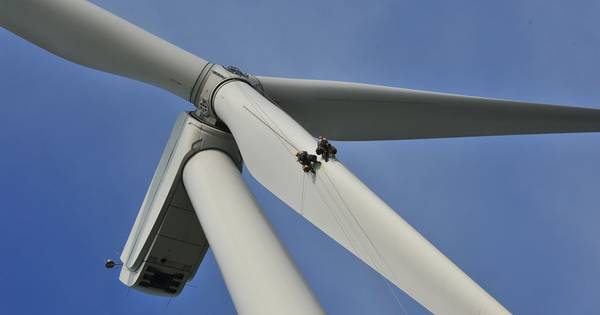 Heel Daarle, Marle, Den Ham en Wierden mogen het weten: 'wij' zijn tegen ...