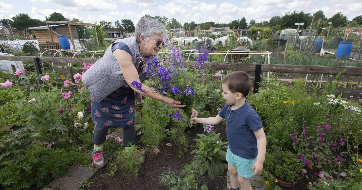 Oase Van Rust Aan Rand Almelose Wijk We Eten Hele Jaar Door Van Eigen Tuin Almelo Destentor Nl