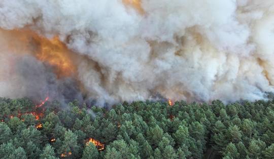 Bestrijding bosbrand in regio Parijs kan nog dagen duren, brand mogelijk aangestoken