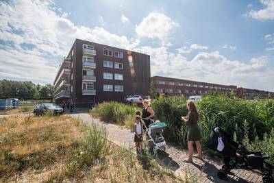 Slechts één melding over flat Daphnestraat