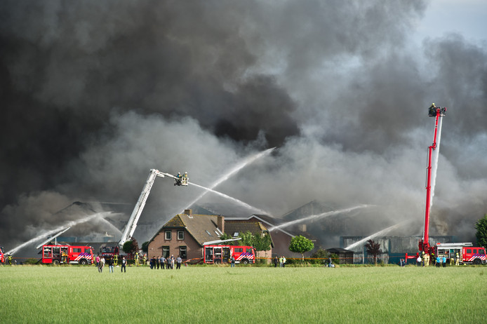 Bij de brand in Erichem zijn donderdag 20.000 varkens omgekomen.