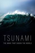 boxcover van Tsunami: The Wave That Shocked The World