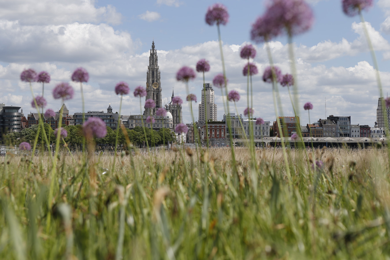 Tot 55 procent minder CO2uitstoot tegen 2030 Antwerpen wil miljarden