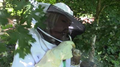 60.000 bijen in de tuin: Iedereen kan imker worden