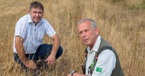Allemaal beestjes: De boer en de boswachter hebben liever geen bonje