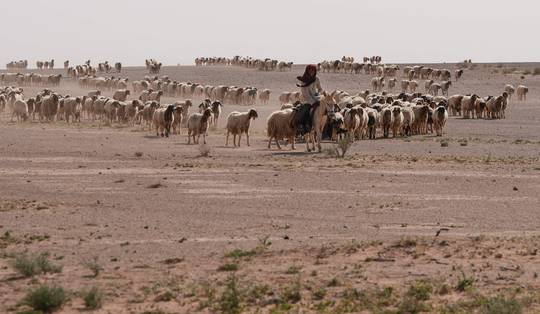 Hoe een dode schaapherder twee geheime Israëlische legerbases in de Iraakse woestijn blootlegde