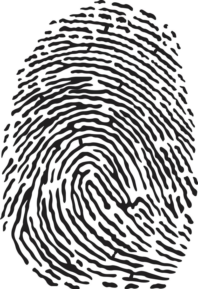 fingerprint 0 Kankerpil kan Nieuws  vingerafdruk maken  onleesbaar  HLN