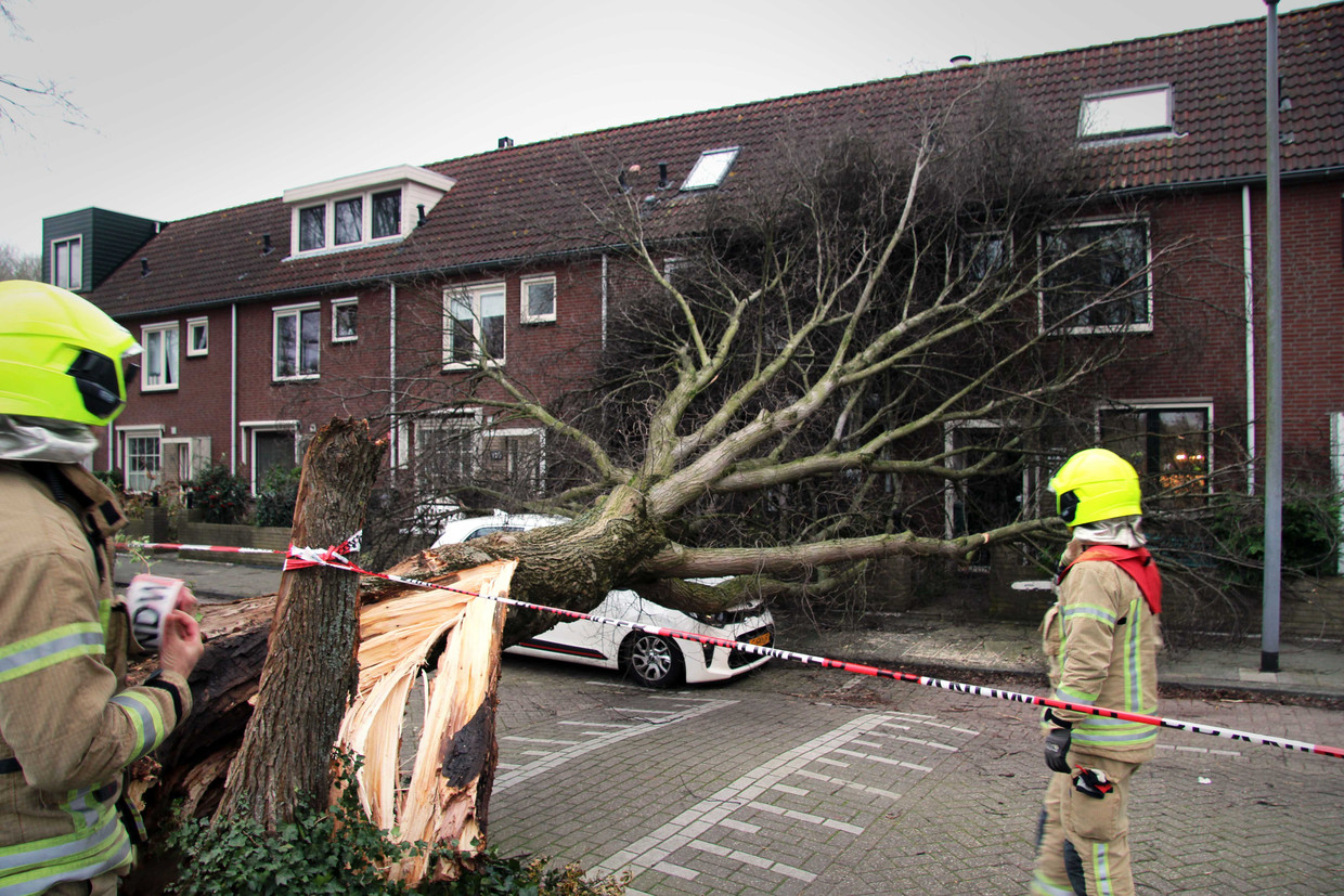 Teruglezen: hoe storm Ciara door Nederland raasde | Het Parool