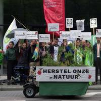 ‘Dringend meer actie en ambitie nodig’: milieuorganisaties verwijten Vlaamse regering te weinig te doen voor natuurherstel