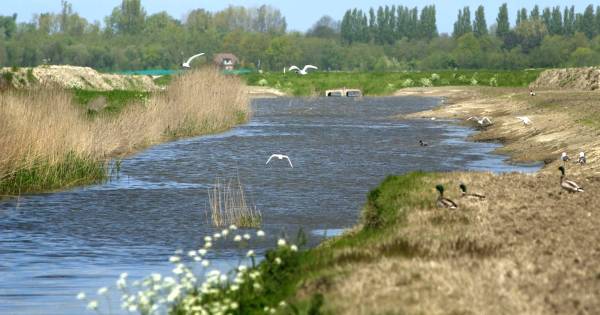 Waterloop bij Gapinge krijgt natuurvriendelijke oevers | Walcheren - PZC