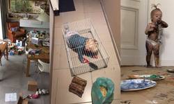 Hilarische lockdownfoto’s van de ravage die jullie kinderen aanrichtten