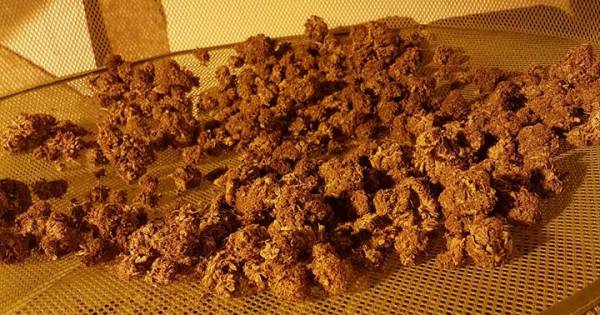 Tweetal opgepakt in pand met 4,5 kilo gedroogde wiet