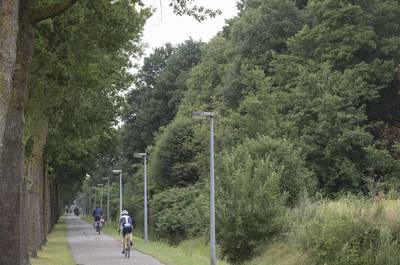 Wageningen en Ede krijgen nog geen minibos