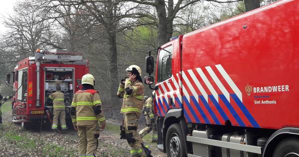 Brand op diverse plekken in bossen langs Gemertseweg in Oploo