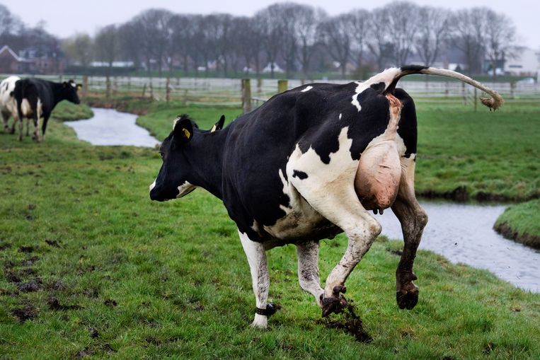 Vannacht kouder dan in de winter - Trouw