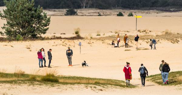 Gigantisch Druk In Loonse En Drunense Duinen En Oisterwijkse Bos Hou Rekening Met Overvolle Parkeerplaatsen Tilburg E O Bd Nl