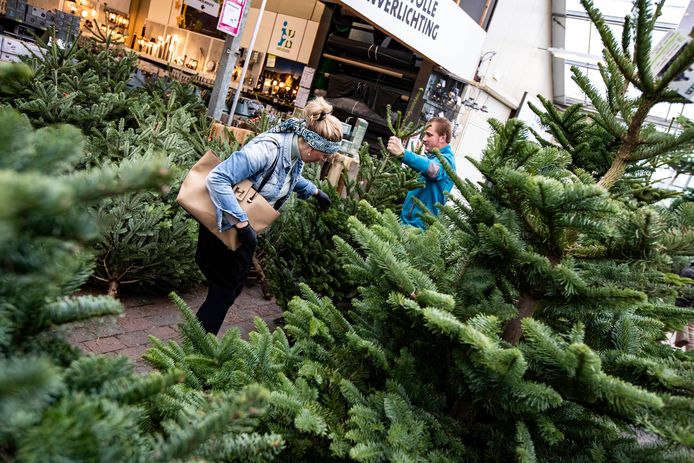 Intratuin Kunstkerstboom Montreal 215 Cm Intratuin