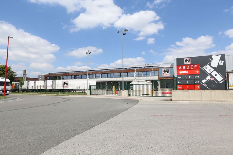 Herstructurering Delhaize Treft Distributiecentrum Nog Niet Asse In De Buurt Hln