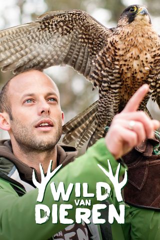 Wild van Dieren