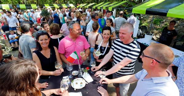 Eerste Italiaanse wijnfestival in Luyksgestel overdonderend succes | Kempen - Eindhovens Dagblad