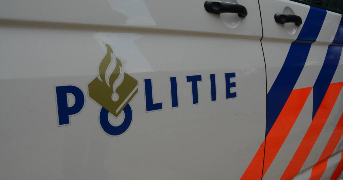 Politie pakt twee scooterdieven in Veghel, derde verdachte ontsnapt.
